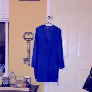 Reitman’s Gorgeous Blue Button Down Shirt Dress